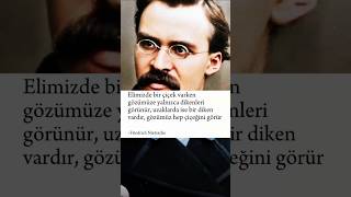 Friedrich Nietzsche Çiçeği mi dikeni mifelsefe [upl. by Llenet]