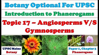 Angiosperms amp Gymnosperms –Difference Similarities Comparison Resemblance Affinities UPSC Mains [upl. by Witte]