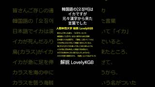 中級韓国語 韓国語の오징어はイカですが元々漢字から来た言葉でした 人間本性大学語学部 shorts 日本語 韓国語 [upl. by Eynobe598]