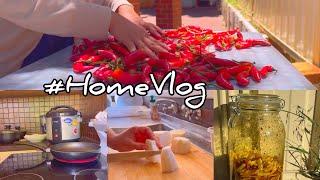 Aesthetic vlog  making raddish pickle amp drying red chilli  Bhutanese [upl. by Acirretahs]