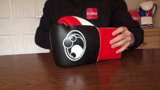 GRANT BOXING GLOVES FAKE OR REAL  PART 2 THE ANSWER [upl. by Volotta]