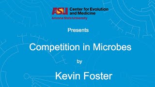 Competition in Microbes  Kevin Foster [upl. by Hansen137]