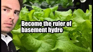 How to grow the world’s greatest Kratky hydroponics garden [upl. by Yrehcaz]