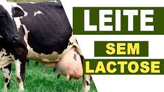 O que você acha do leite sem lactose E O KEFFIR [upl. by Elacim575]