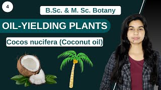 Economic Botany  OILYIELDING PLANTS  Cocos nucifera coconut oil  B Sc amp M Sc [upl. by Nelleyram]