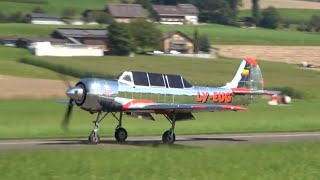 Jakowlew Jak52 LYEUG landing at Triengen Airfield [upl. by Franciskus]