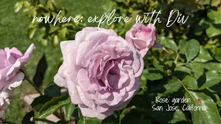 Rose garden San Jose CA [upl. by Hgielek655]