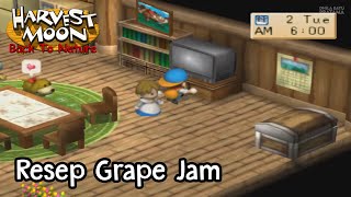 Resep Grape Jam Dari TV Harvest Moon Back To Nature [upl. by Arriek]