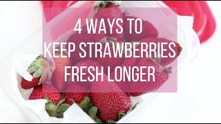 How to Keep Strawberries Fresh Longer 3 Ways to Store Strawberries Longer [upl. by Ahsyen]