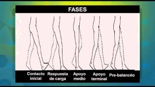 Alteraciones de la Marcha Secundarias a Alteraciones Neurológicas [upl. by Cesar]