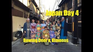 Japan Day 4  Bowing Deer and Kimonos  Vlog 14 [upl. by Atiekal]