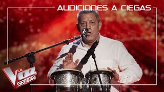 Fernando Liben canta Casi te envidio  Audiciones a ciegas  La Voz Senior Antena 3 2020 [upl. by Marcel]