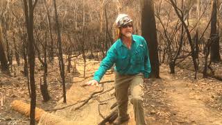 Stabilising a Stormwater Channel after Fire [upl. by Mandie]