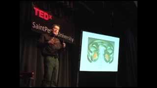 Fusion Energy Utopian or Practical Andrew Zwicker at TEDxSaintPetersUniversity [upl. by Aleras513]