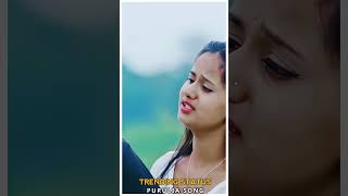 Nirupai ।। Purulia New Sad Song 2024 shorts​ youtubeshorts [upl. by Gerg]