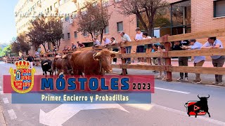 đź‚ đźŹđźŹ» PRIMER ENCIERRO mostoles 2023 [upl. by Yrdnal]