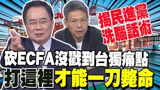 砍ECFA沒打到民進黨痛點 蔡正元揭綠洗腦話術quot你還得叫他爺爺quot 謝寒冰等大陸對台灣心灰意冷 時機到了自然解決 [upl. by Etnuhs]