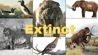 Extinct animals scientists are bringing back [upl. by Konyn]