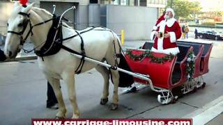 Horse Drawn Sleigh  Sleigh Rides 1  Carriage Limousine Service  Horse Drawn Carriages [upl. by Conlen]