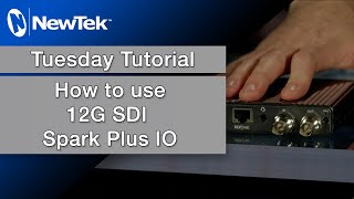 Tuesday Tutorial  Using the 12G SDI Spark Plus IO [upl. by Zimmerman]