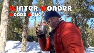 Winter Wonder Woods Walk [upl. by Warms35]