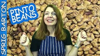 Cook THE BEST PINTO BEANS Recipe Texas Style Sprig Barton [upl. by Leiahtan]