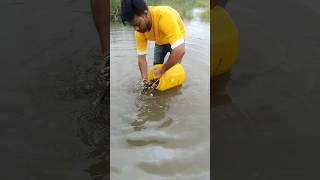 Jira fish farming 🐠🐟 vlog desi jira machli shorts [upl. by Esila]