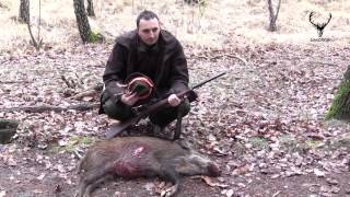 Spoločná poľovačka na diviaky Lakšárska Nová Ves  Common hunting for wild boar [upl. by Dermot910]