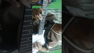 Nachayeko haina solo cover by ProgressEditzz 🌹🎸 song popularsongs [upl. by Nnylrats]