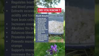 Celtic Sea Salt Benefits Nutrition MineralRich [upl. by Darell]