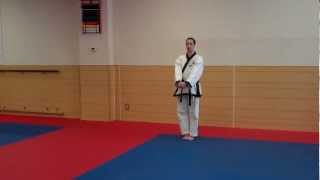 Bassai Dai instructional Warren Levi Karate [upl. by Dnalyram]