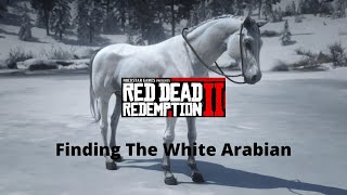 White Arabian Horse Location  Red Dead Redemption 2 RDR2 [upl. by Llerehc305]