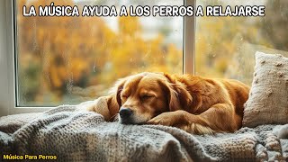 🐶MUSICOTERAPIA Para DEJAR PERROS SOLOS EN CASA Relajante 💛 Música Relajante Para Calmar Mascotas [upl. by Kinelski395]