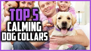 ✅Top 5 Best Calming Dog Collars in 2024 [upl. by Medarda]