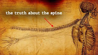 REVEALED Your spine is the quotenergy centerquot activate it like this [upl. by Nosnah867]