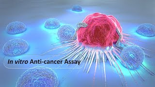 In vitro Anti cancer Assay Dr Bhushan P Pimple [upl. by Nylyrehc]