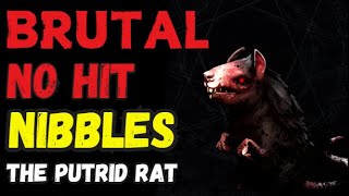 V Rising  Nibbles The Putrid Rat  Brutal Solo No Hit No Blood No Elixirs No Shards [upl. by Isahella]