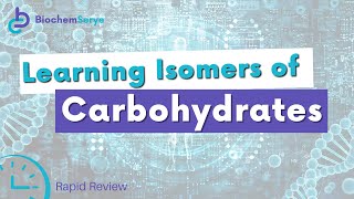 Carbohydrate Isomerism Rapid Review  Biochemistry [upl. by Ttennej]