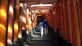 Fushimi Inari Taisha  Kyotos Thousands of Vermillion Gates  October 9 2024 [upl. by Seabrook555]