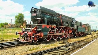 Aburoasa 142044 Steam LocomotiveDampflok la ManevraShunting in Oradea  03 June 2014 [upl. by Fredela]