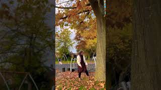 The falling leaves 🍁🍂autumn england magicalwater sylheti fall2024 [upl. by Rebme]