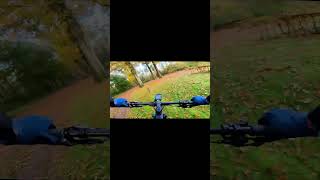 HAWE Herfst MTB Tocht 2024 🍁🍂 mtbrides mtb orbea mountainbike mtblife hardenberg xc [upl. by Esnahc]