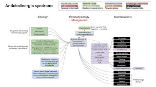 Anticholinergic syndrome mechanism of disease [upl. by Jak461]