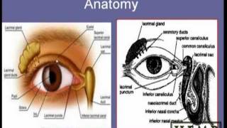 lacrimal pt 1 [upl. by Golda]