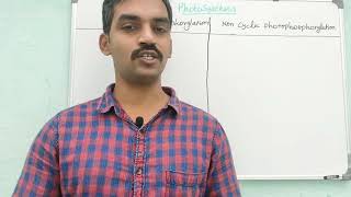 Difference between Cyclic and Noncyclic photophosphorylation  Plant physiology  Tamil [upl. by Bengt402]