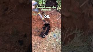 Thats a lotta oil 😅 shorts viralvideo satisfying [upl. by Rashida]