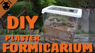 How to make a Plaster FORMICARIUM Tutorial [upl. by Nagiam]