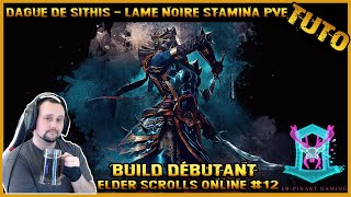 tuto fr Elder Scrolls Online  Build Lame noire stamina pve 2022 [upl. by Notse753]