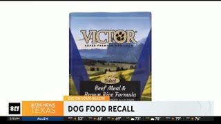 Dog food recall [upl. by Powell]