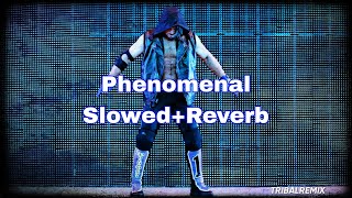 Aj Styles WWE Theme Song  Phenomenal  Slowed  Reverb [upl. by Gerard14]